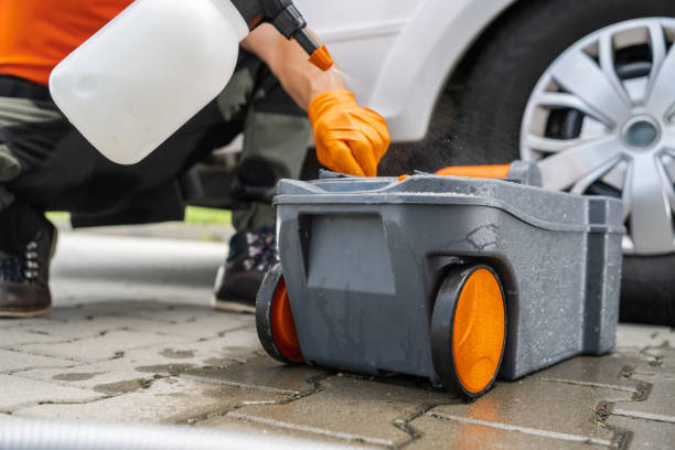 Best Lawn Renovation and Restoration  in Day Valley, CA